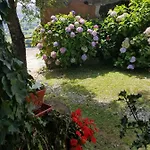 Juntana Abionzo