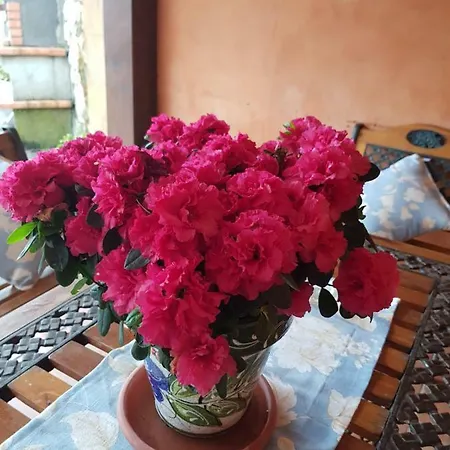 Casa Rural Juntana *